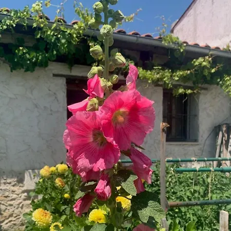 Casa Aperos Santibáñez de Valcorba