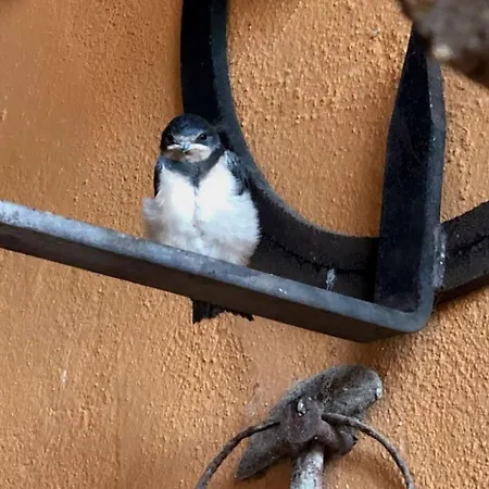 Casa Aperos * Santibáñez de Valcorba