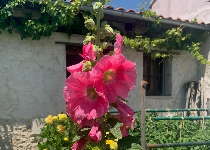 Casa Aperos Сантибаньес-де-Валькорба