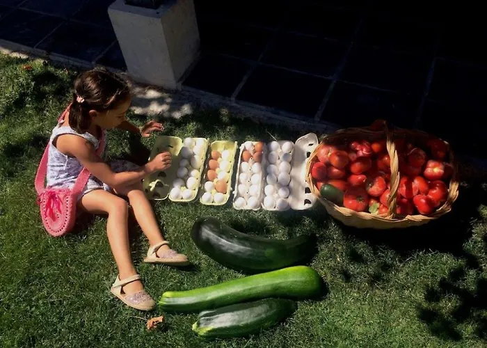 Дом отдыха Casa Aperos