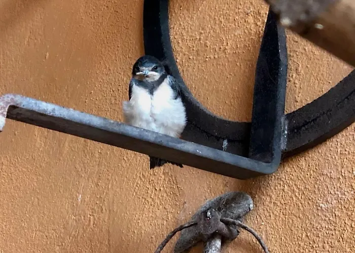 Casa Aperos * Сантибаньес-де-Валькорба