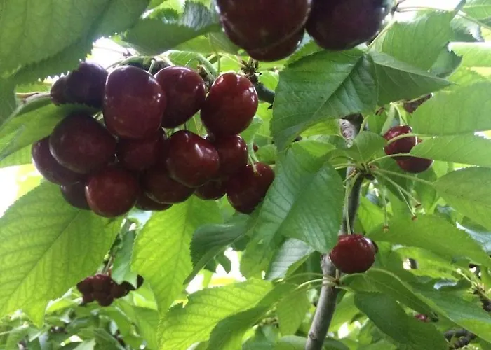 Дом отдыха Casa Aperos *